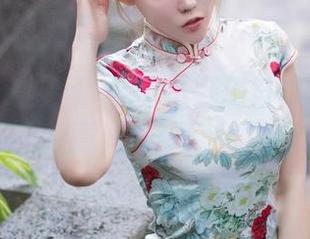 Xiuren秀人网 – e宝小野猫日常冒险：那些不经意间的萌宠图片合集