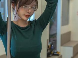 不止于狗狗：秋和柯基的圣诞图库带来的暖心时光